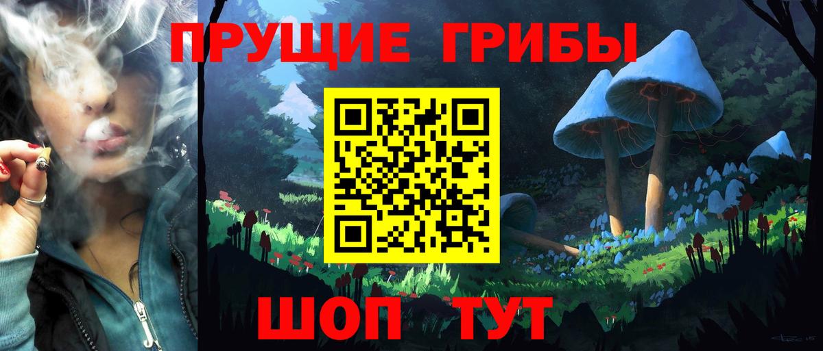 Псилоцибиновые грибы Cubensis Назарово